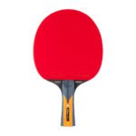 JOOLA Carbon Control Table Tennis Racket
